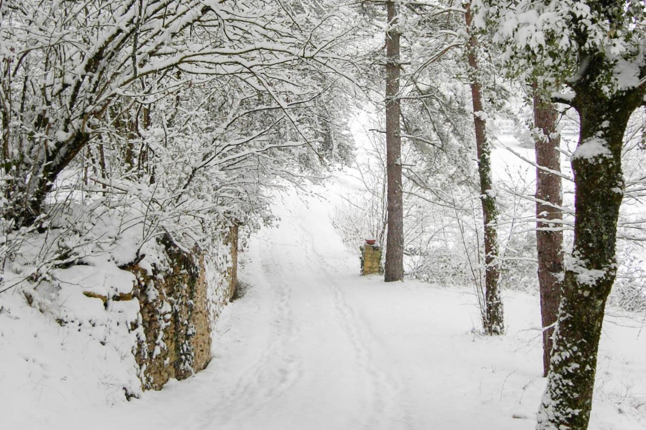 Au Pre De L'Arbre Villa Sarlat-la-Canéda Buitenkant foto