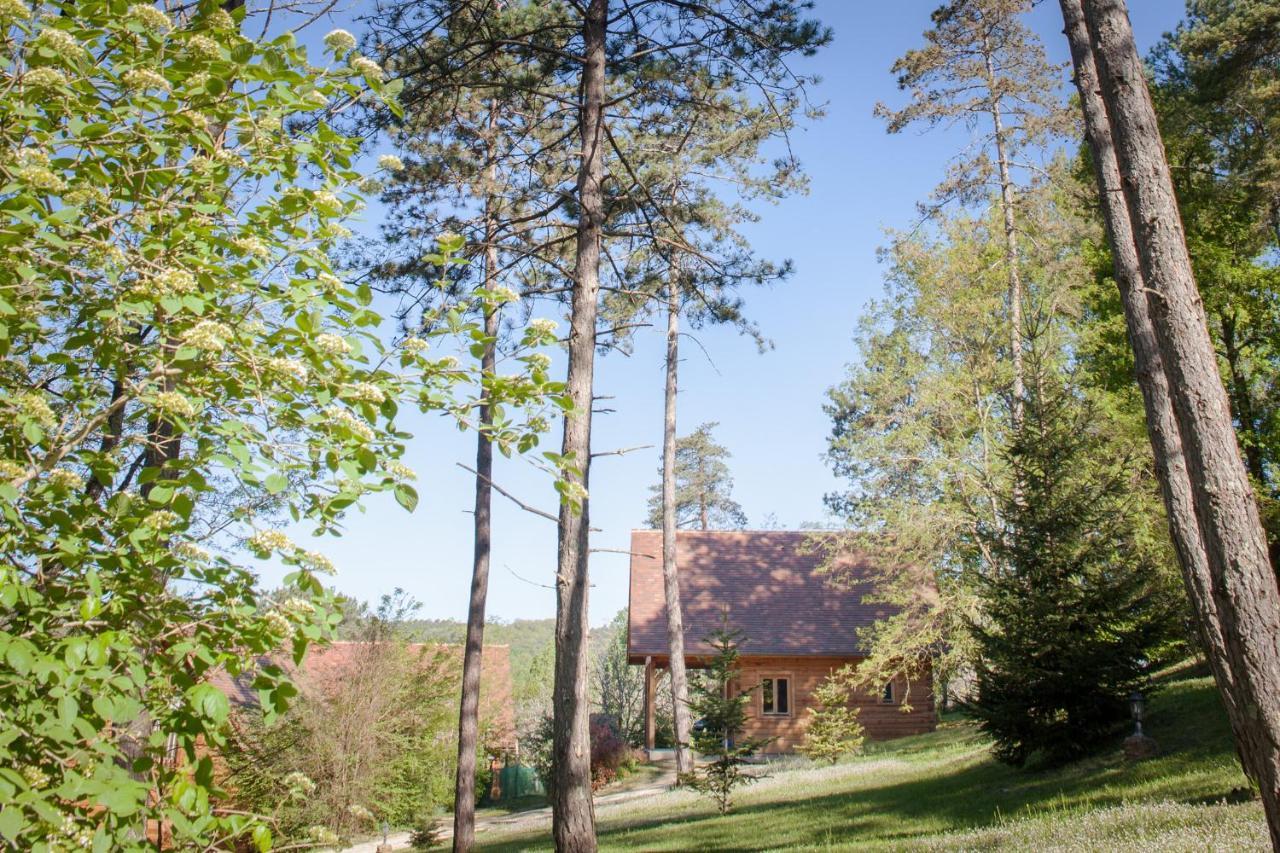 Au Pre De L'Arbre Villa Sarlat-la-Canéda Buitenkant foto